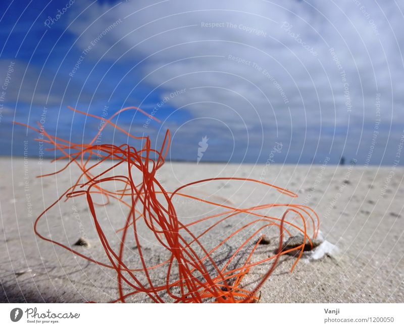 In the sand 2 Vacation & Travel Sun Beach Nature Sand Air Sky Plastic Line Thin Orange String Bushes Colour photo Exterior shot Abstract Structures and shapes