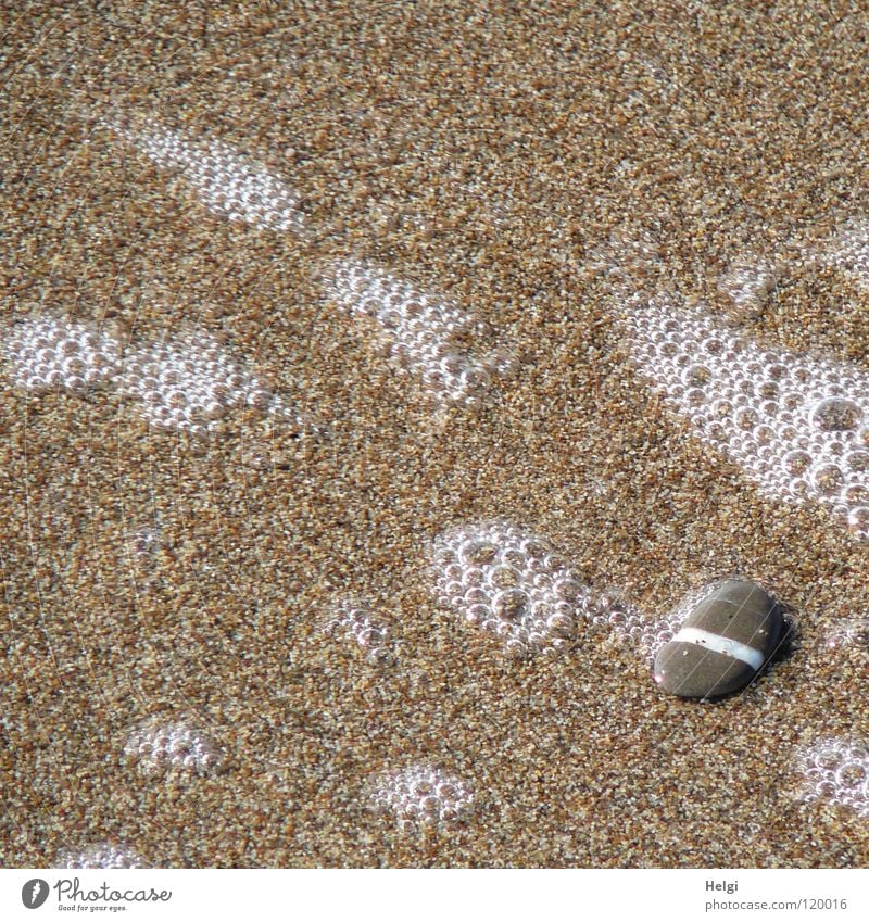 Pebble with white stripe on a sandy beach with bubbles Flat Gray Striped Line Beach Coast Sandy beach Find Ocean Sea water Foam White crest Waves Flow