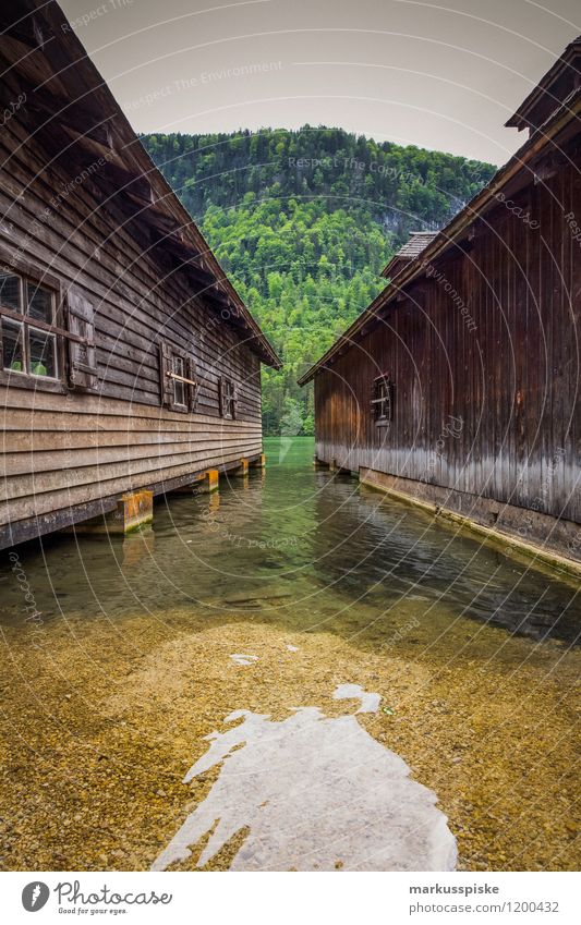 boathouse at königssee Elegant Leisure and hobbies Vacation & Travel Tourism Trip Adventure Far-off places Freedom Sightseeing Summer Summer vacation Sun