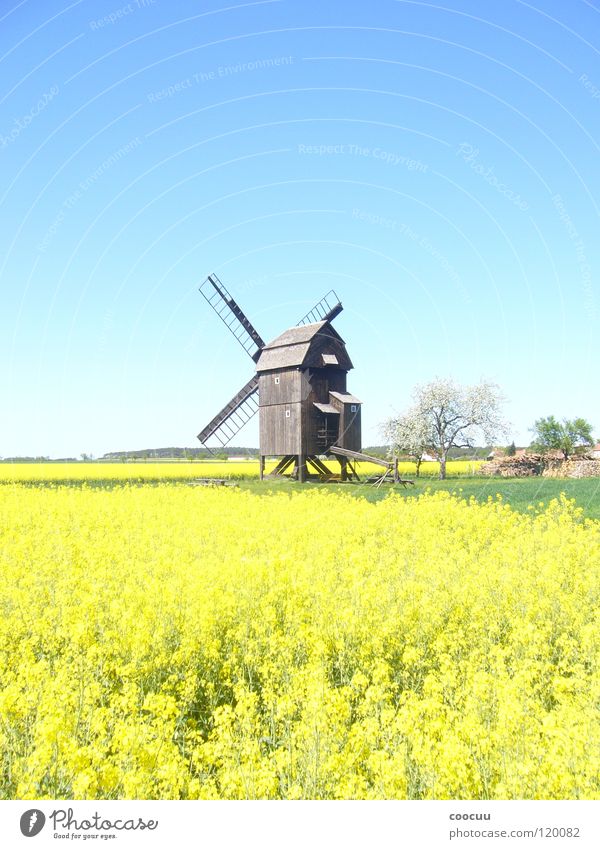 windmill Summer Canola Field Windmill Home country Nature heaven and earth