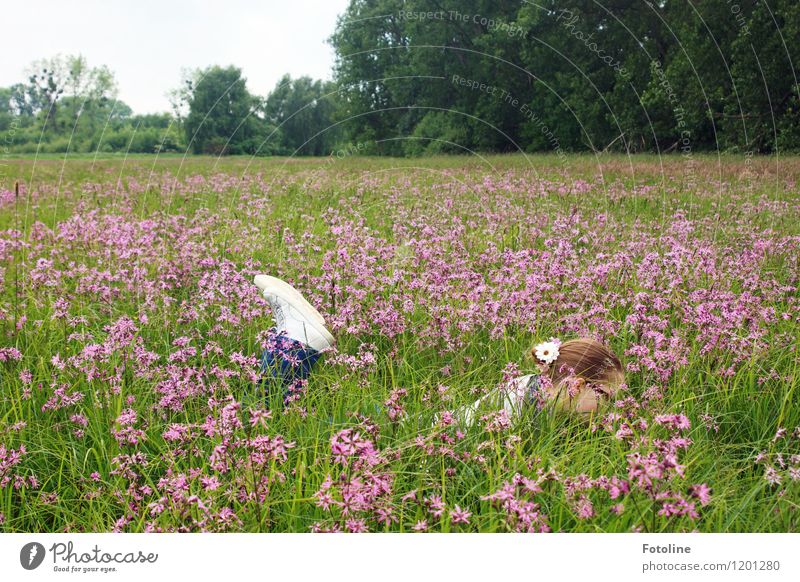 snail observation post Human being Feminine Girl Young woman Youth (Young adults) Infancy 1 Environment Nature Landscape Plant Summer Flower Grass Meadow Free