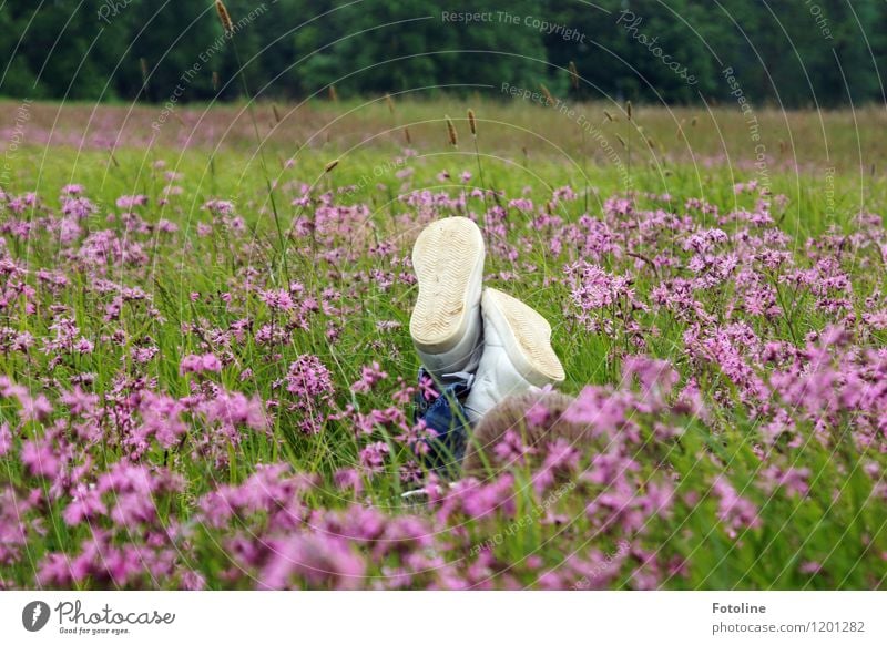 Freedom to be a child Human being Child Infancy Environment Nature Landscape Plant Summer Beautiful weather Flower Grass Blossom Meadow Bright Near Natural