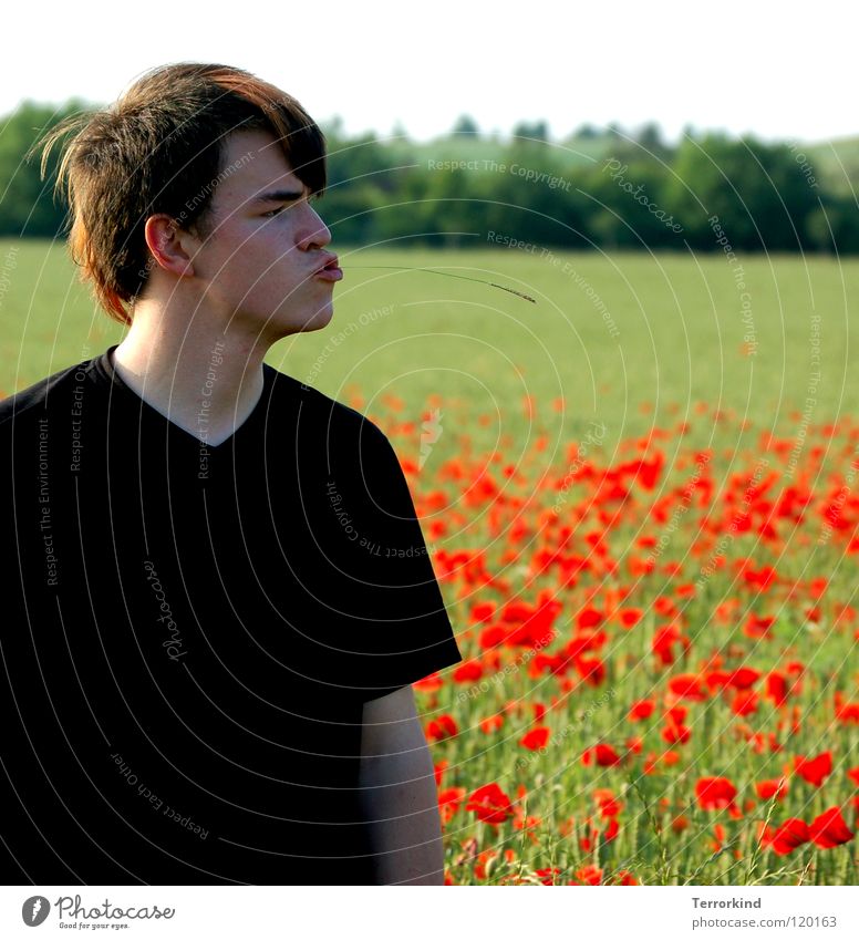 Young.vegetables.reloaded. Young man Exterior shot Portrait photograph Face of a man Upper body T-shirt Poppy field Poppy blossom Profile Funster Funny