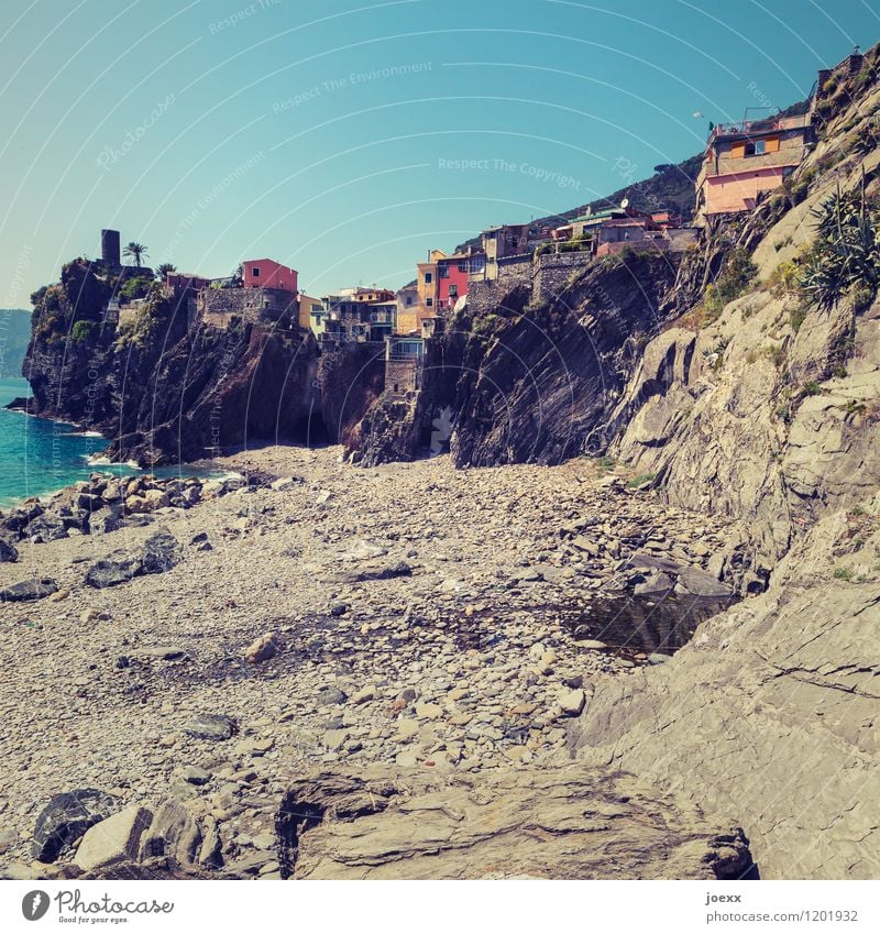 backyard Vacation & Travel Tourism City trip Summer Sky Beautiful weather Waves Coast Ocean Vernazza Italy Village Fishing village House (Residential Structure)