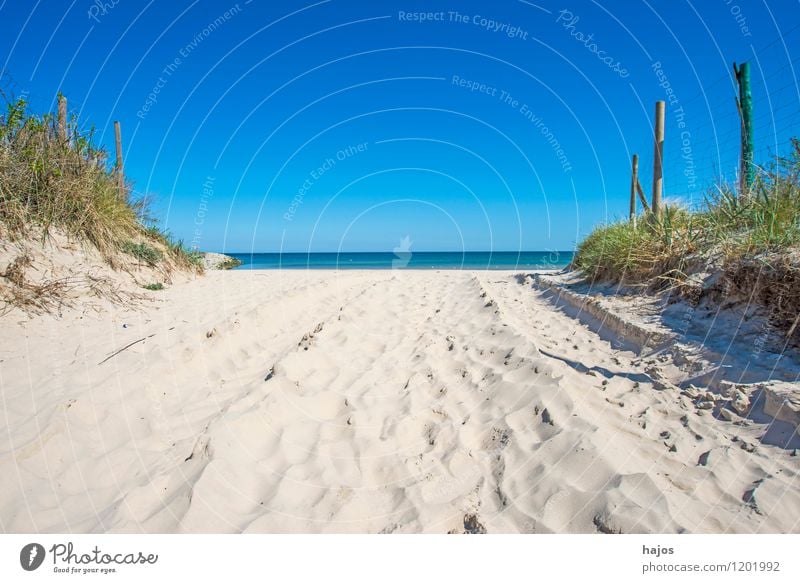 Baltic Sea beach in Ustka, Poland Beautiful Vacation & Travel Tourism Far-off places Summer Beach Ocean Environment Nature Landscape Cloudless sky Horizon