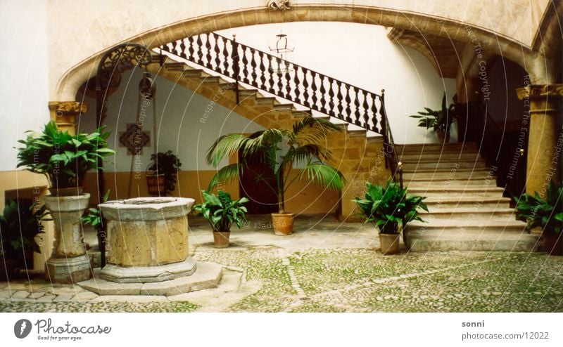 inner courtyard Palm tree Well Architecture Farm Stairs