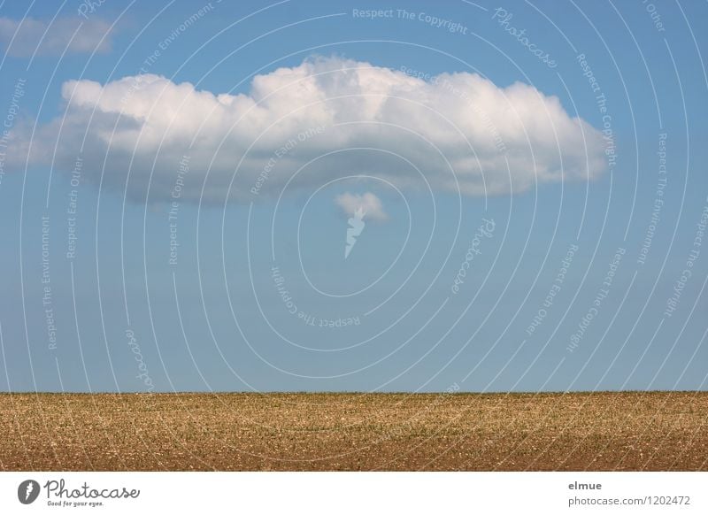 Decorative cloud over a field Environment Nature Landscape Earth Sky Clouds Sun Spring Beautiful weather Field Manmade landscape void Far-off places Infinity