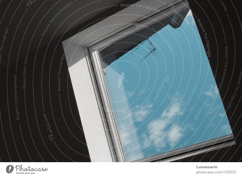 flat madcap Flat (apartment) Window Clouds Wall (building) Under Dark White Black Roof Skylight Window frame Reflection Air Airy Antenna Converse Corner