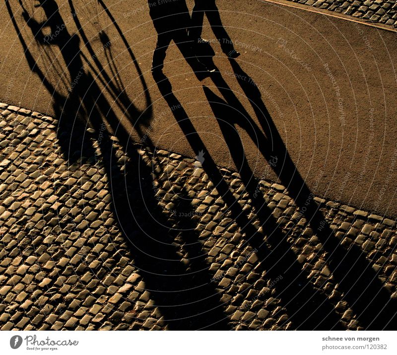 shadow thrower Winter Bicycle Going Leisure and hobbies Calm Sunday Yellow Peace Shadow To go for a walk Human being Walking Cobblestones sun
