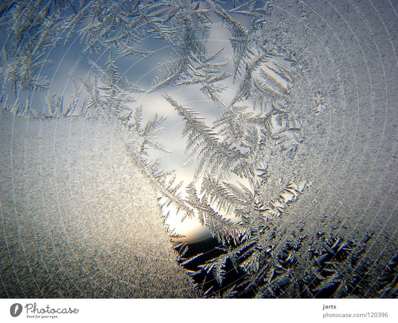 transparency Frostwork Ice crystal Winter Cold Window Clouds Crystal structure Sky jarts