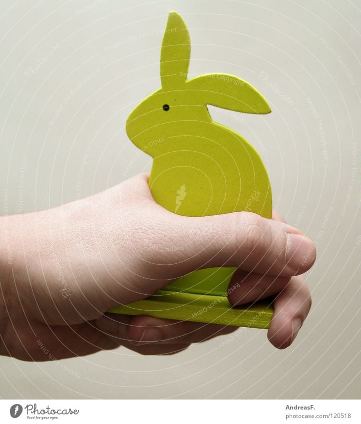 Tame. Hare & Rabbit & Bunny Easter Wood Hand Peace To hold on Captured Under control Pet Caress Petting zoo Mammal Easter Bunny Smooth tame wood bunny