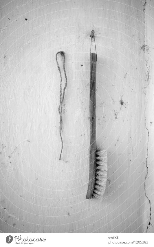 For dental care Wall (barrier) Wall (building) Brush Rope Hang Old Gloomy Past Transience Plastered Clean Crack & Rip & Tear Wood Bristles Dirty lost places