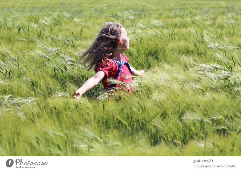 "Only flying is better!" Girl with wind in her hair in a cornfield Playing Child girl Infancy Life 1 Human being 8 - 13 years Sun spring Beautiful weather Plant
