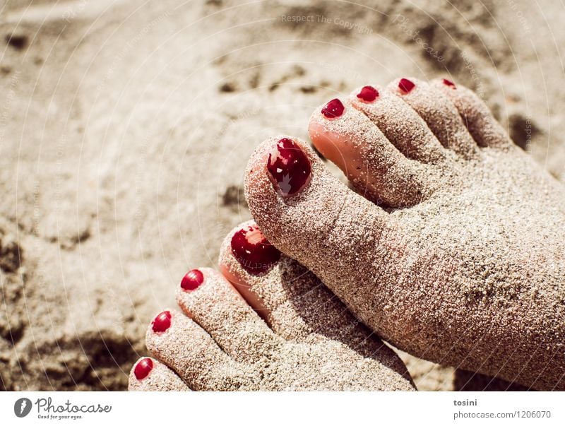 elapsed Feet Red Second-hand Nail polish Toenail Toes Sand Beach Break improper Converse Blemish Skin Summer Disfigurement Beautiful used Playing Colour photo