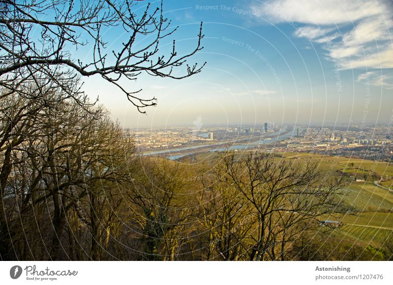 View of Vienna 1 Environment Nature Landscape Air Sky Clouds Horizon Spring Weather Beautiful weather Plant Tree Forest Hill River Danube Austria Town