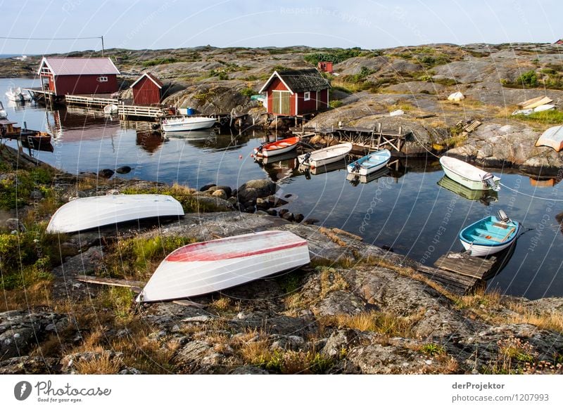 Astrid Lindgrens Sweden Vacation & Travel Tourism Far-off places Freedom Camping Environment Nature Landscape Plant Animal Summer Hill Rock Waves Coast Bay