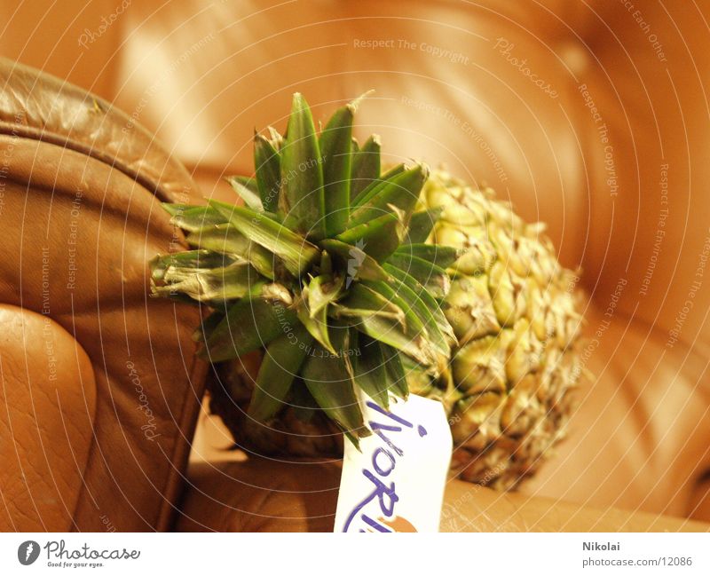 Pineapple in an armchair Armchair Style Photographic technology Fruit Absurdity