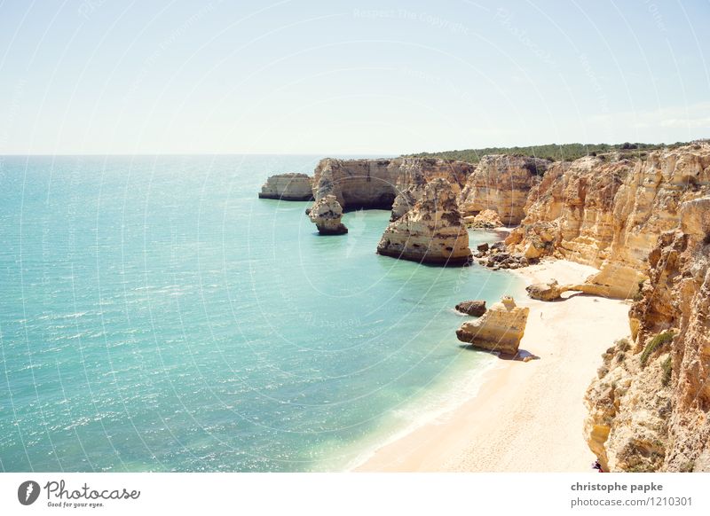 Typical Algarve Vacation & Travel Summer Sunbathing Beach Ocean Cloudless sky Beautiful weather Rock Waves Coast Bay Portugal Hot Bright Rocky coastline