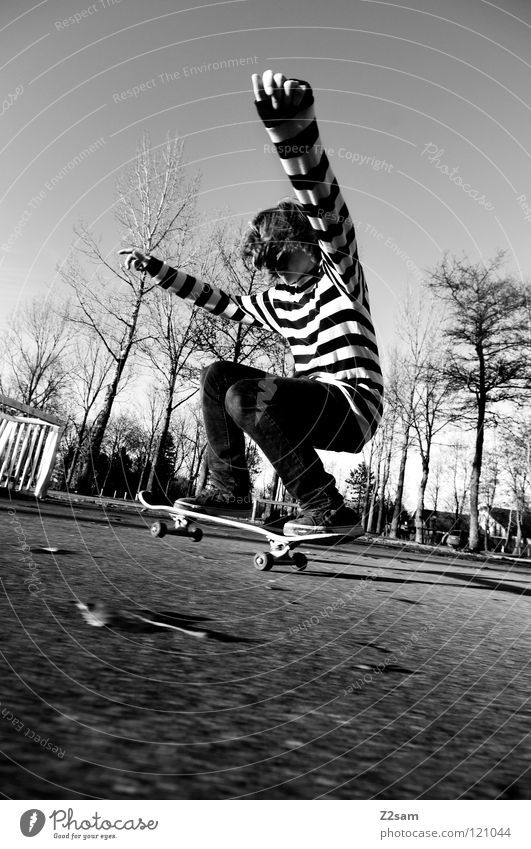 LANDING Dusk Action Skateboarding Contentment Jump Striped Tar Concrete Light Tree Wide angle Youth (Young adults) Sports Knee Pushing Funsport Movement