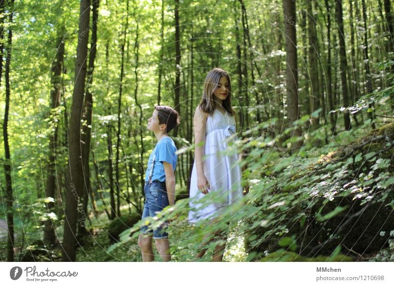 Timeless Girl Boy (child) Brothers and sisters Sister Infancy 2 Human being 8 - 13 years Child Nature Summer Tree Forest Rock Observe Stand Wait Together