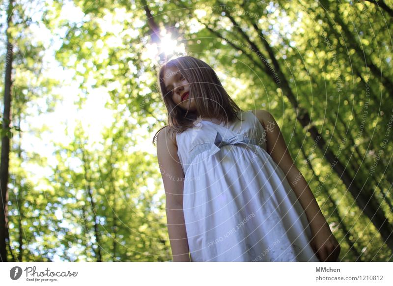What's up? Child Girl 8 - 13 years Infancy Nature Sun Summer Tree Forest Dress Observe Discover Looking Stand Green White Serene Patient Calm Curiosity