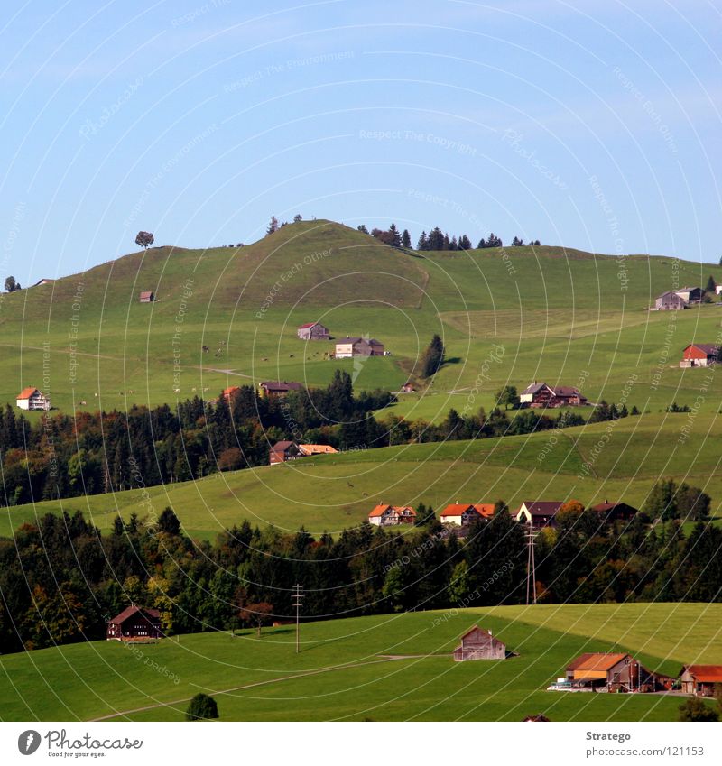 square idyll Hill Meadow Grass Tree Forest House (Residential Structure) Bird's-eye view Agriculture Canton Appenzell Switzerland Idyll Summer Vacation & Travel