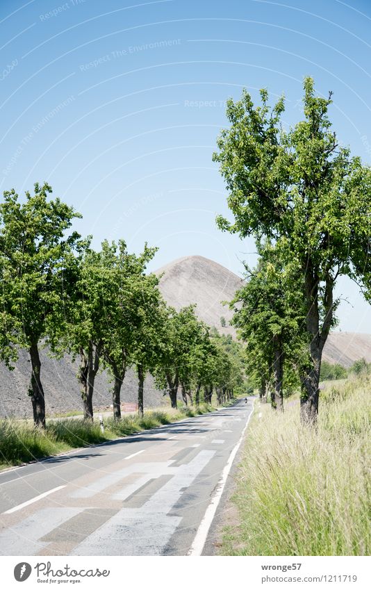 Slag heap of the mining industry in the Mansfeld mining district at the end of a tree-lined country road Industry Mining Landscape Plant Sky Cloudless sky