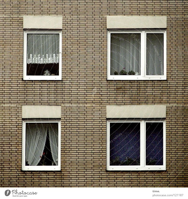 Final Curtains Drape House (Residential Structure) High-rise Wall (barrier) Window 4 Cute Still Life Home country Flat (apartment) Rectangle Square