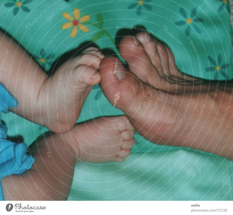 feet Toes Baby Small Large Child Feet Barefoot