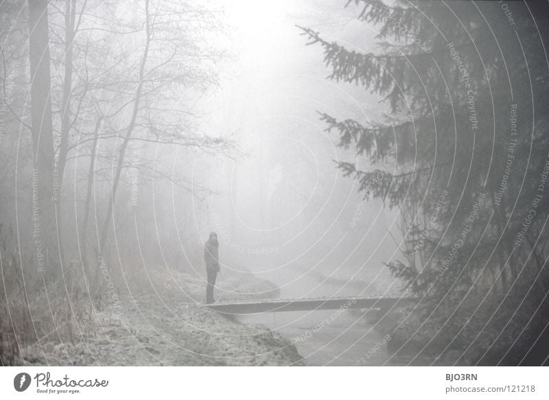 foggy woods #3 Fog Loneliness Cold Dark Tree Winter Forest Brook Wet Damp River Frozen Nature Misty atmosphere Pedestrian Going Ambiguous Mysterious Woman