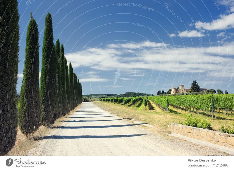 Typical Tuscany landscape with grape fields Vacation & Travel Summer House (Residential Structure) Nature Landscape Sky Grass Green Vineyard wine panoramic