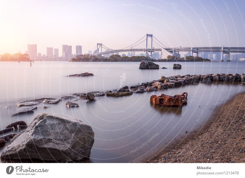 Tokyo bay Rainbow Bridge Earth Sand Water Sun Beautiful weather Rock Town Capital city Port City Skyline Deserted House (Residential Structure) High-rise