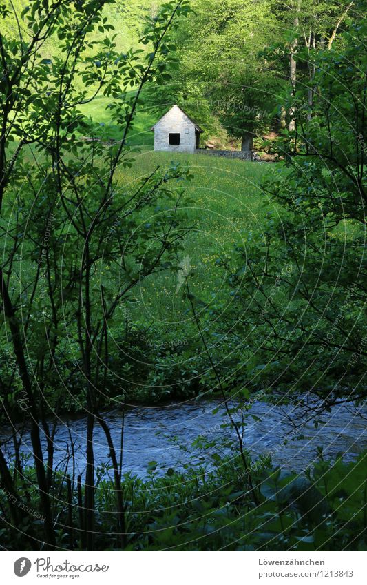 All I need... Nature Meadow Forest Brook Source Hut Esthetic Free Fresh Bright Small Natural Blue Green White Protection Serene Calm Authentic Modest Adventure