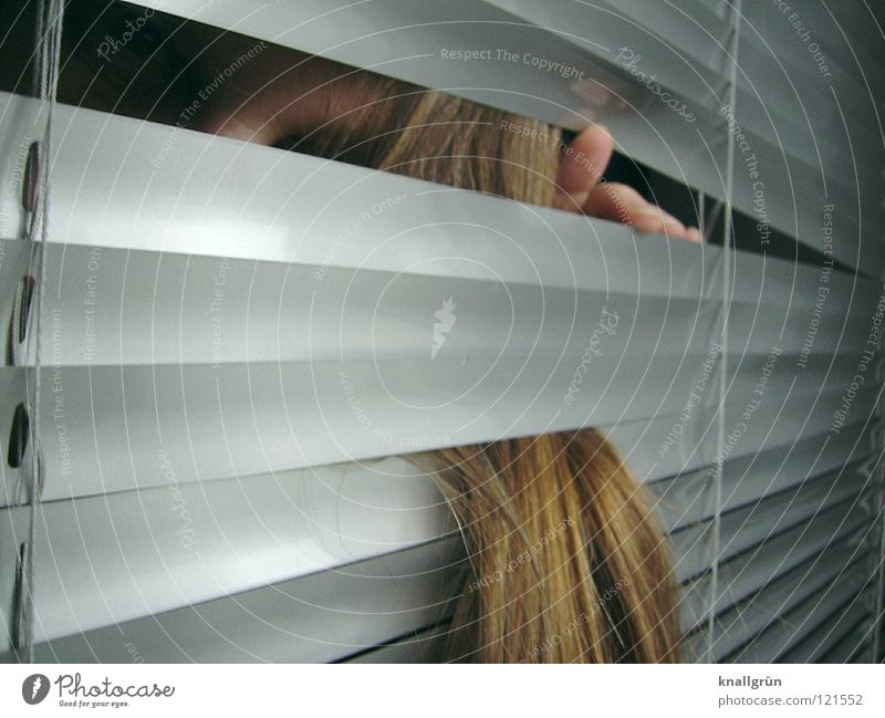 Tangled Venetian blinds Fingers Long-haired Backwards Woman Hair and hairstyles Disk between them Face Silver Bright Dirty Blonde