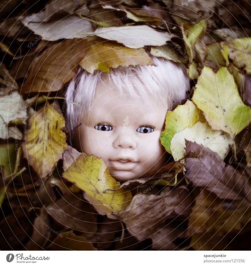 Lost & Found Toys Threat Alarming Blonde Chucky Creepy Horror film Evil Sweet Cute Leaf Autumn Seasons Tree Whimsical Autumn leaves Autumnal colours Joy Doll