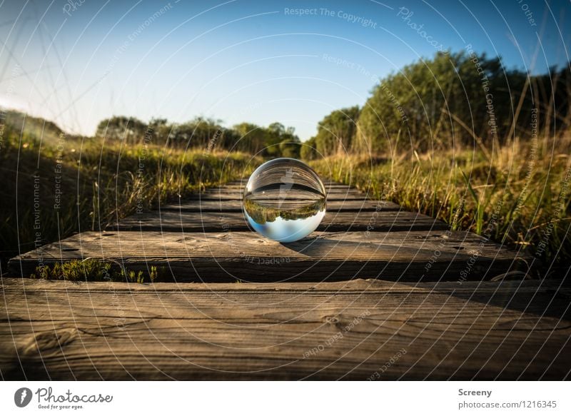 Worlds #6 Nature Landscape Plant Sky Cloudless sky Sunlight Spring Summer Beautiful weather Meadow Eifel High venn Bog Glass ball Round Blue Brown Green Calm