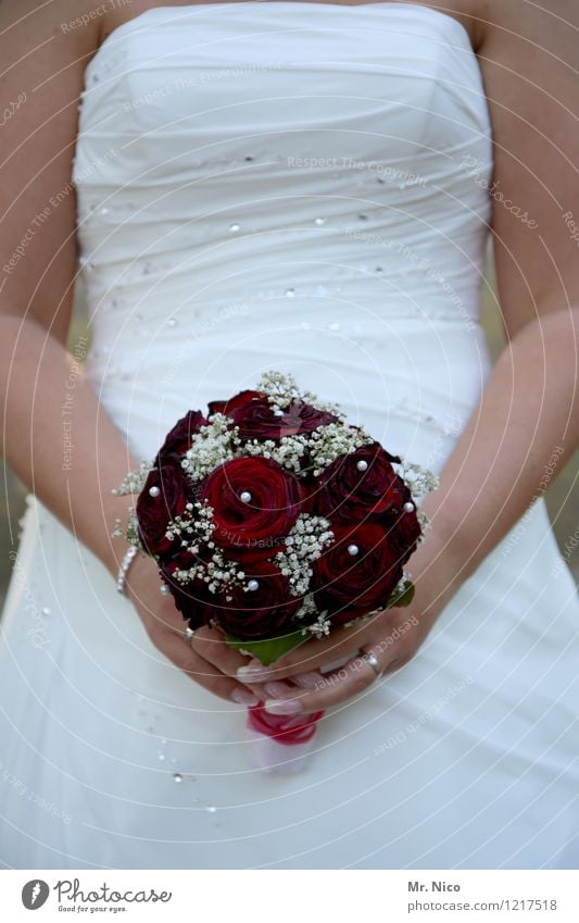 wool rose buy ? Lifestyle Wedding Feminine Woman Adults Arm Accessory Red White Happy Contentment Joie de vivre (Vitality) Together Love Infatuation Loyalty