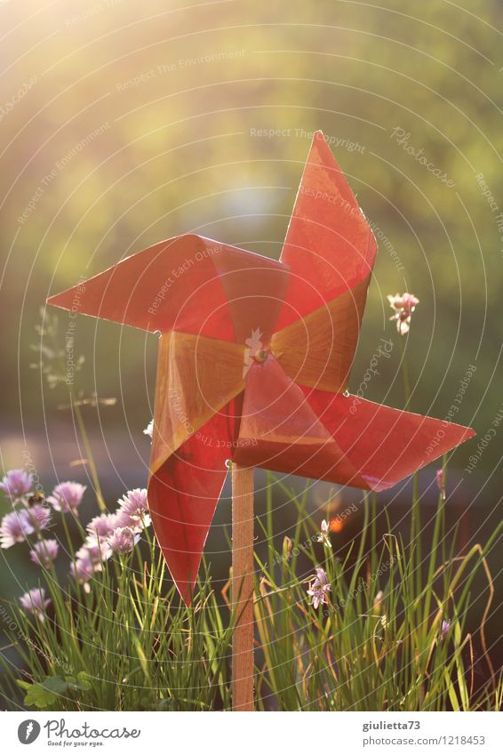 Windmill in evening light l Happy Life Harmonious Meditation Leisure and hobbies Playing Flat (apartment) Garden Movement Rotate Relaxation Hope Inspiration