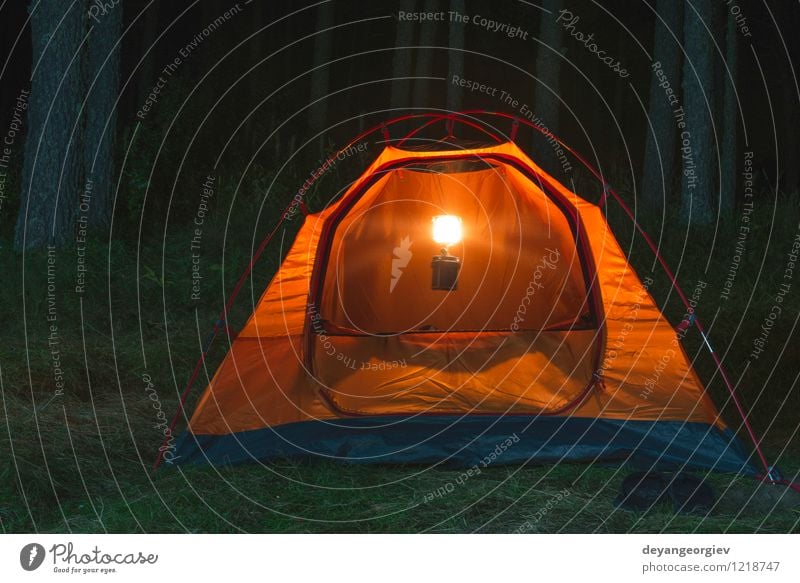 Orange tent in the forest at night Leisure and hobbies Vacation & Travel Tourism Adventure Camping Summer Mountain Hiking Lamp Nature Landscape Weather Tree
