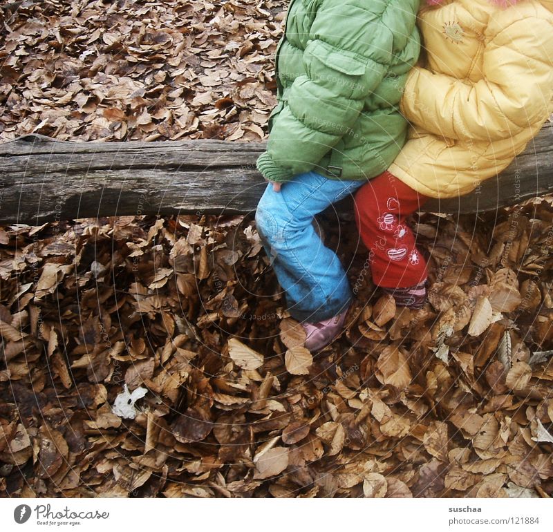 yesterday at the playground ... Child Playing Romp Playground Cold Leaf January February Tree trunk Wood Multicoloured Pants Jacket Anorak Joy Clothing Sit