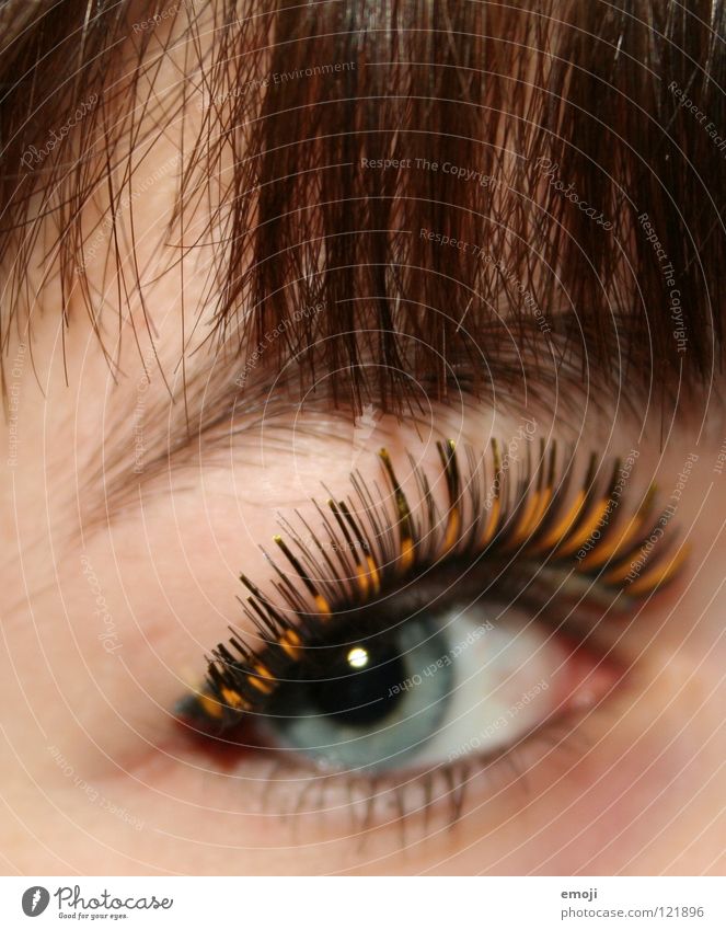 phonily False Eyelash Eyebrow Near Macro (Extreme close-up) Club Cosmetics Beautiful Long Length Carnival Cute Close-up Placed Eyes Hair and hairstyles Bangs