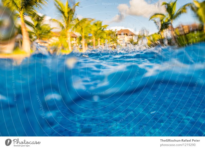 Pool Party III Water Drops of water Blue Brown Yellow Gold Green White Underwater photo Underwater camera Hotel Resort Mauritius Palm tree Wet Damp Refreshment