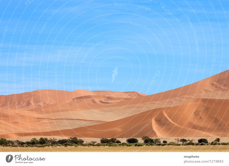 Beautiful curves #1 Vacation & Travel Tourism Far-off places Safari Nature Landscape Sand Sky Warmth Desert Namib desert Blue Yellow Orange Adventure Climate