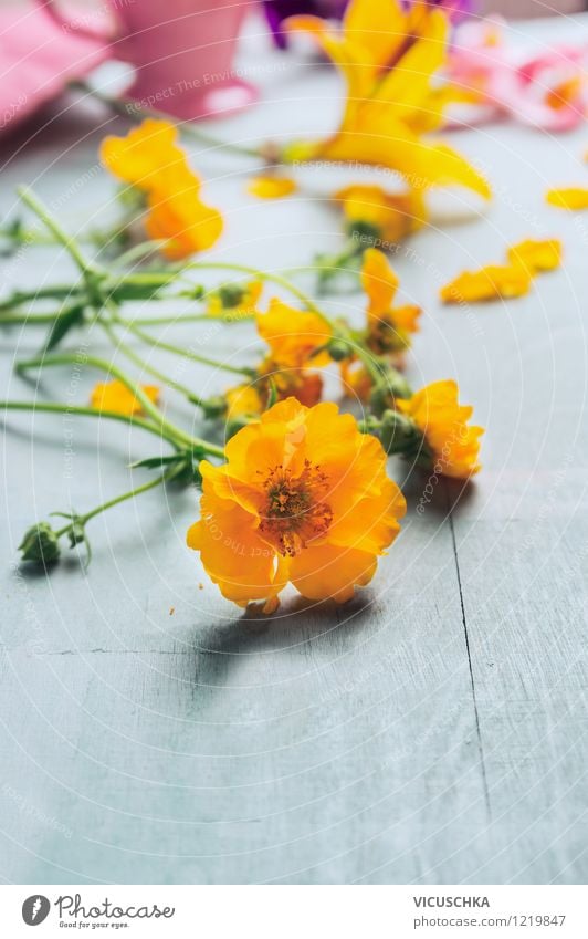 Yellow flowers on the table Style Design Life Summer Garden Table Nature Plant Spring Autumn Flower Leaf Blossom Bouquet Background picture Still Life Gift