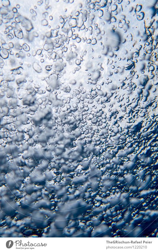 Underwater III Water Drops of water Blue Gray Black White Air bubble Swimming pool Underwater photo Underwater camera Vacation & Travel Structures and shapes