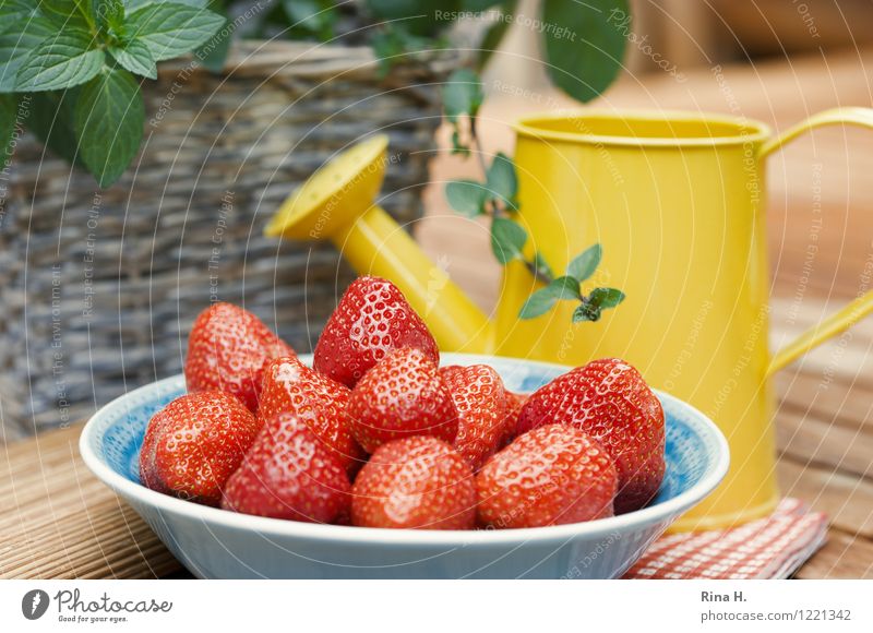 Delicious Strawberries III Fruit Organic produce Vegetarian diet Bowl Watering can Authentic Natural Sweet To enjoy Mint Basket Wooden table Exterior shot