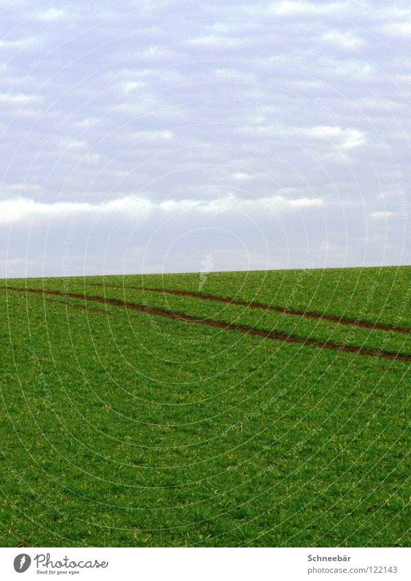 Tyre tracks in spring Far-off places Field Rural Machinery Empty 2 Horizon Infinity Landscape Spring Green Sky in the country Tracks Plant Nature Boredom Line