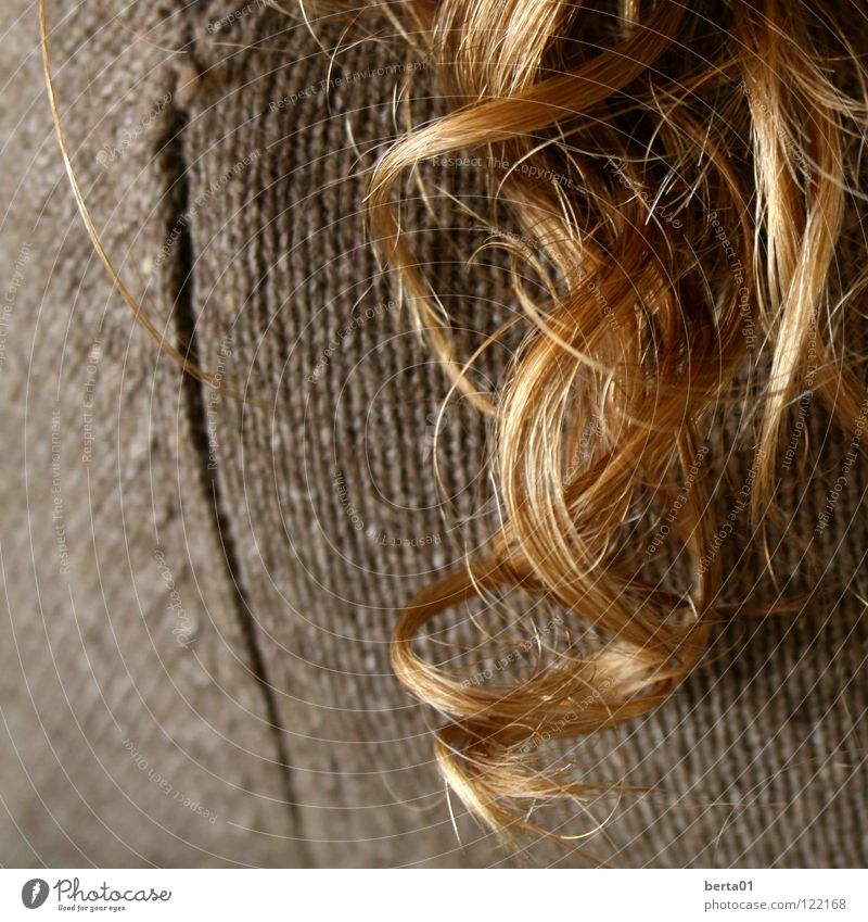 Hair And Hairstyles Brown A Royalty Free Stock Photo From