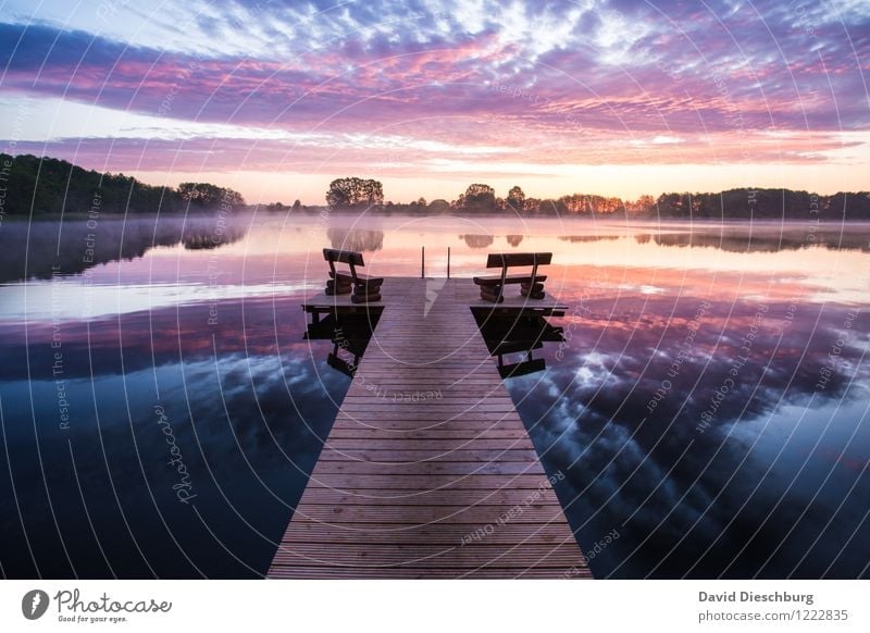 out by the lake Vacation & Travel Adventure Far-off places Summer vacation Landscape Sky Clouds Spring Autumn Beautiful weather Tree Coast Lakeside River bank