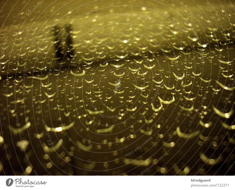 I Can't Stop The Rain Light Storm Lamp Refraction Dark Night Close-up Glittering Wet Damp Pink Black Acid rain Environment Macro (Extreme close-up)